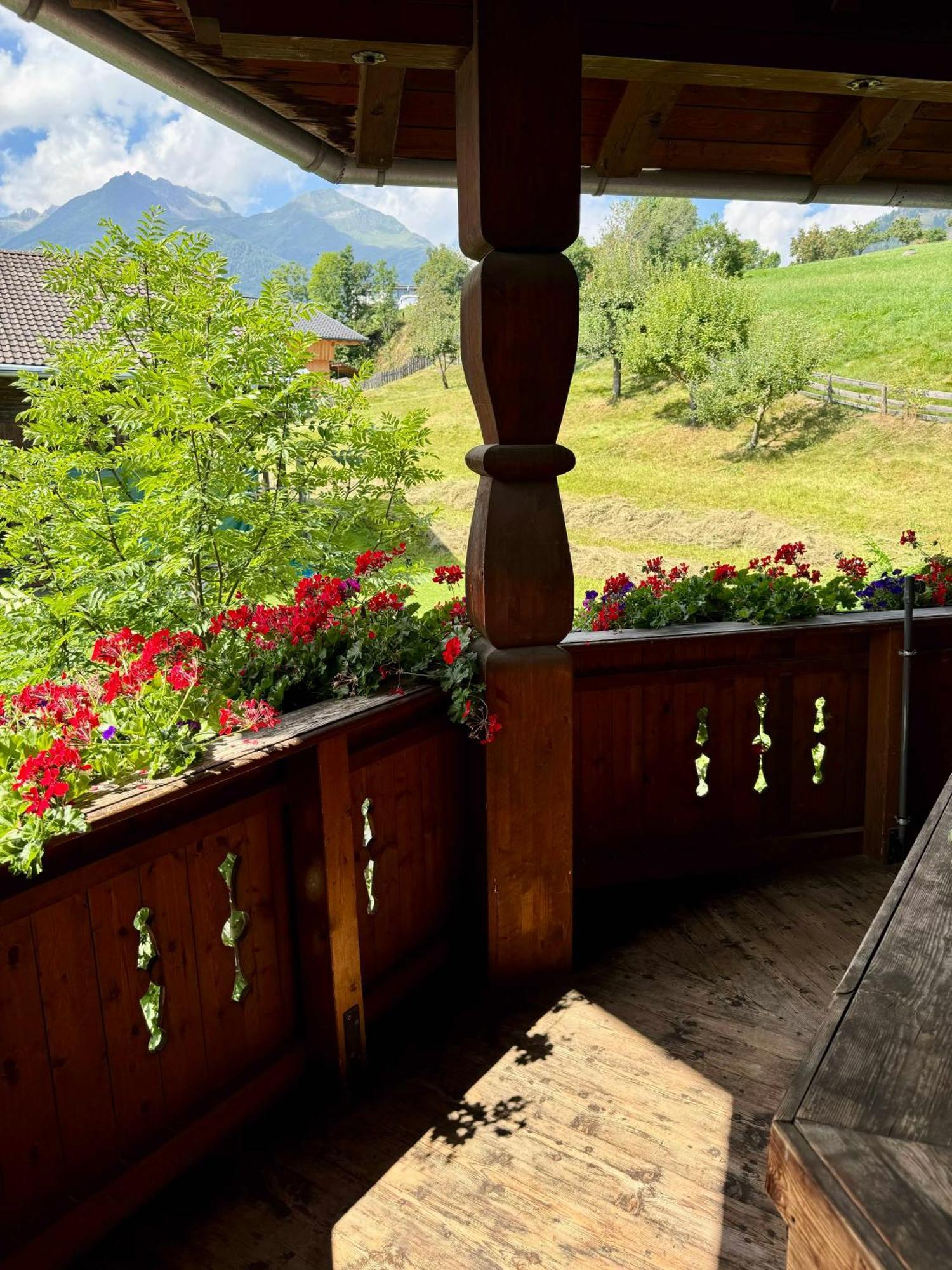 Appartement Blusnerhof à Virgen Extérieur photo